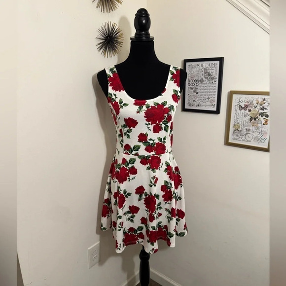 H&M Dresses & Skirts - H & M ROSE DRESS SIZE 8